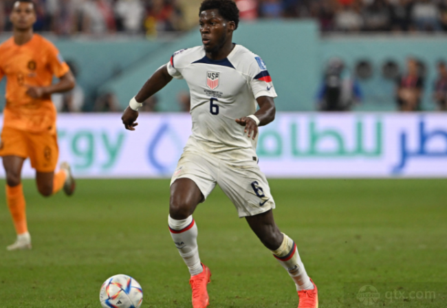 展现了其坚 展现了其坚