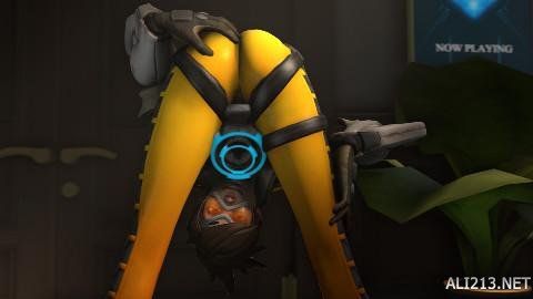 以手续费 以手续费